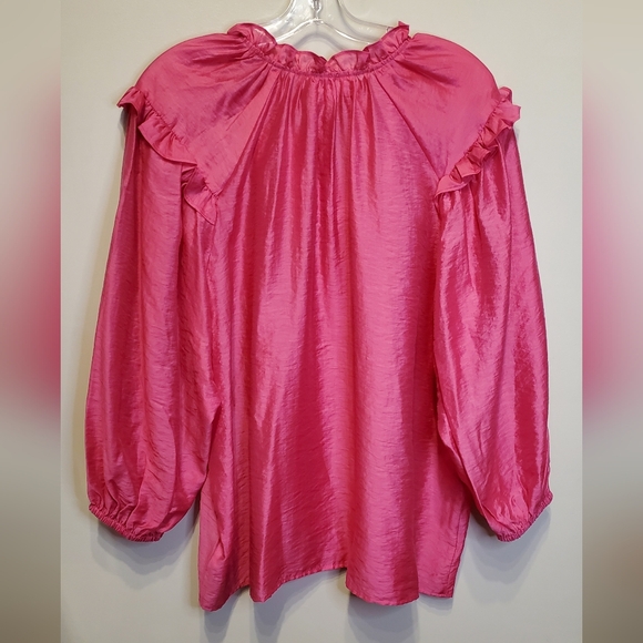 255. NWT - Hudson North Ruffle Neck Blouse - Picture 6 of 7